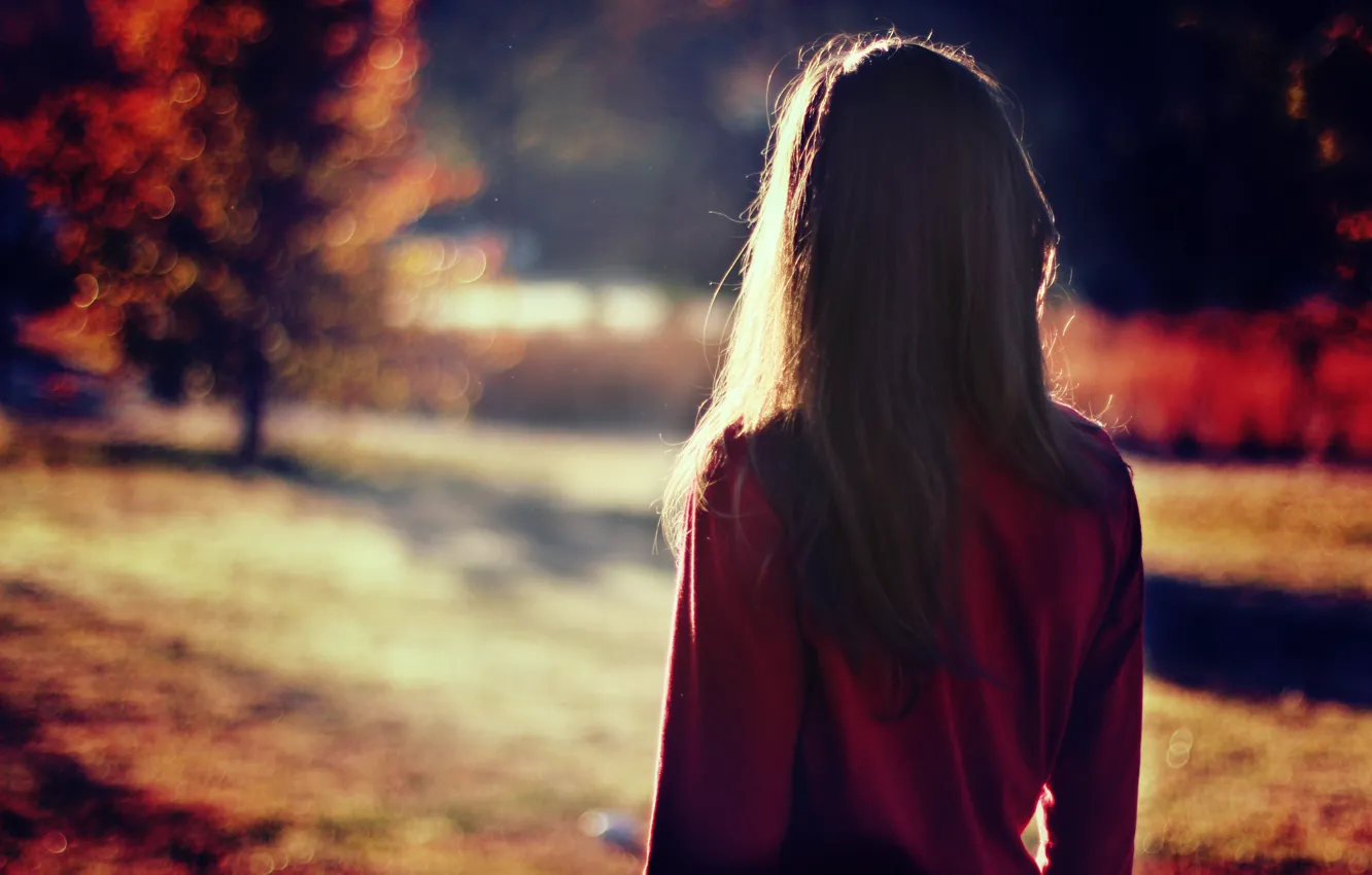 Photo wallpaper girl, the sun, back, brunette