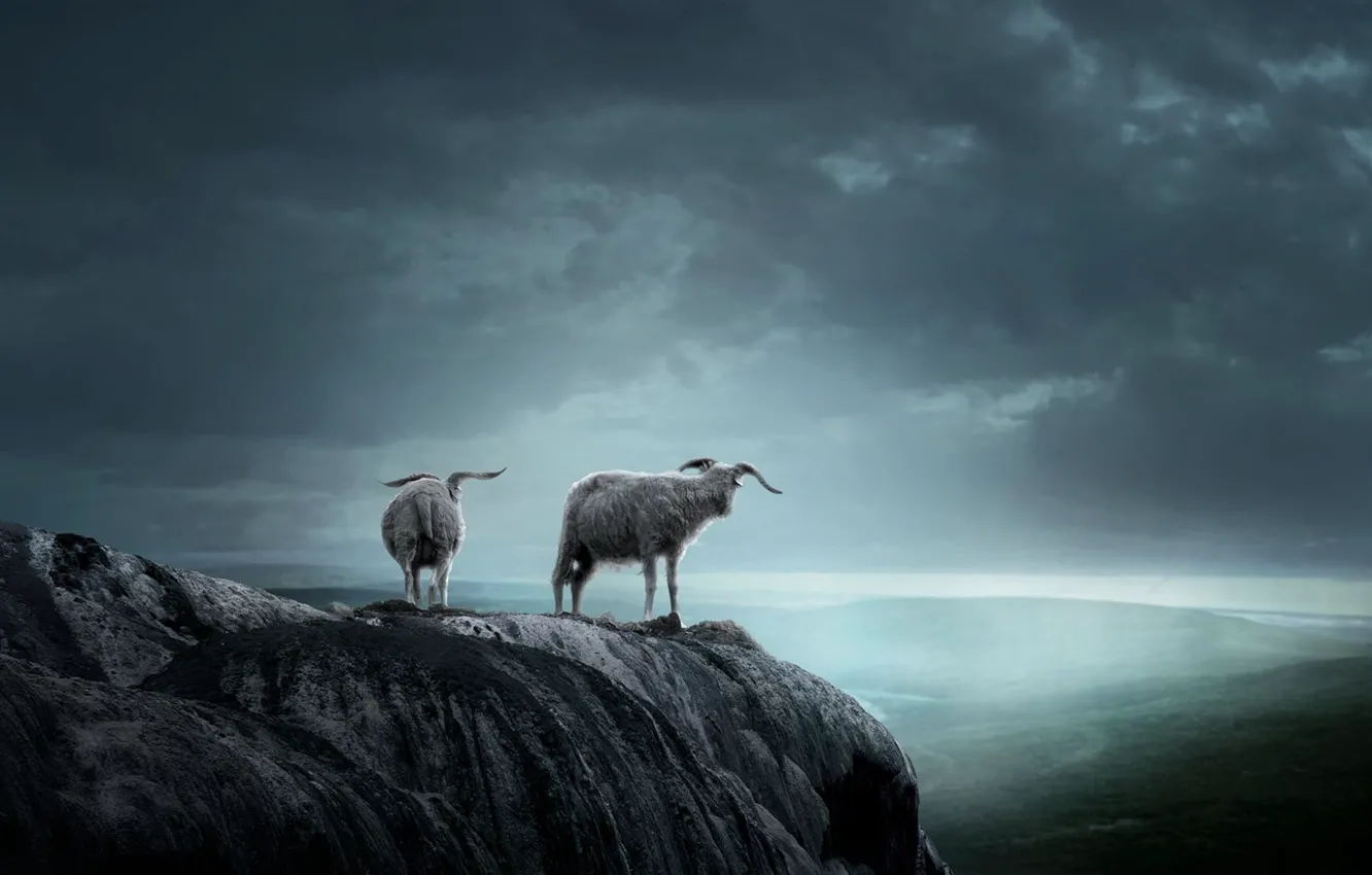 Photo wallpaper the sky, mountains, clouds, fog, overcast, rocks, view, height