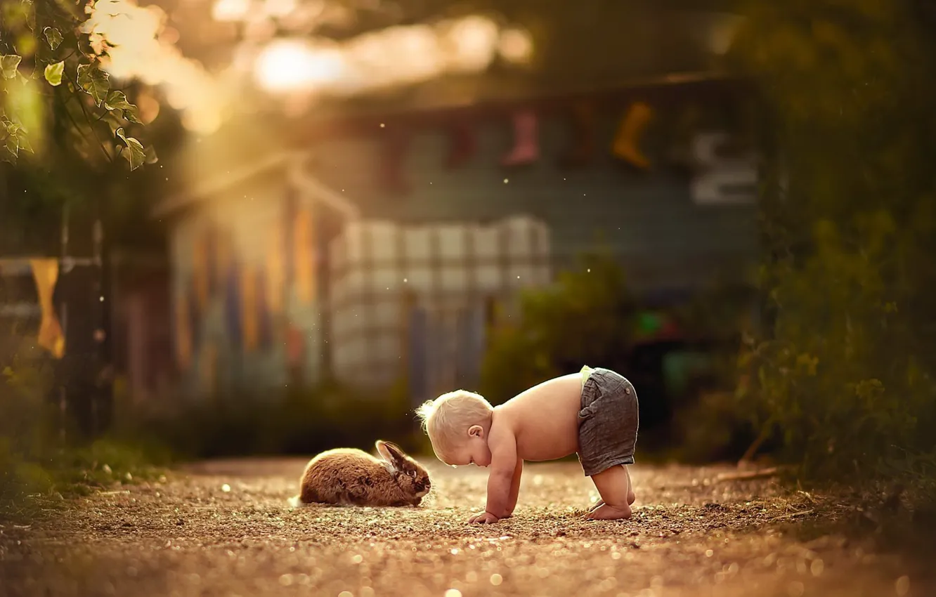 Photo wallpaper road, boy, rabbit