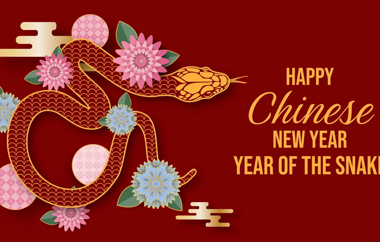 Photo wallpaper flowers, the inscription, snake, vector, figures, New year, red background, date