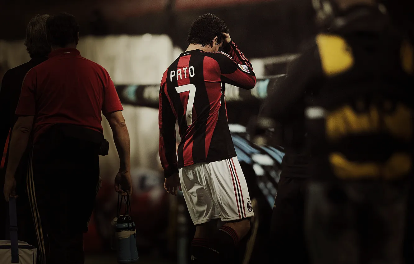 Photo wallpaper Milan, pato, Pato, Milan