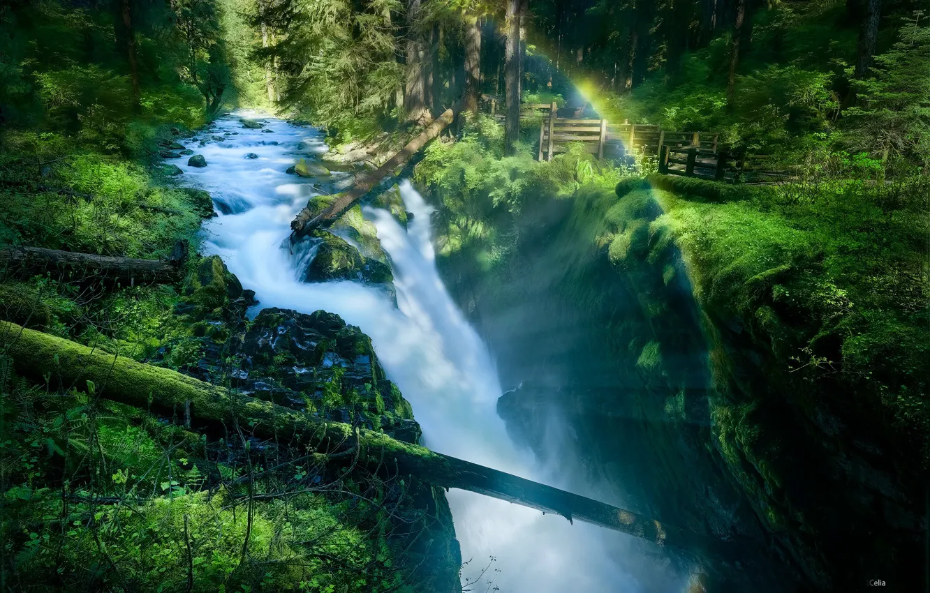 Photo wallpaper forest, river, waterfall, logs, Olympic National Park, Sol Duc Falls, Sol Duc River, Olympic national …
