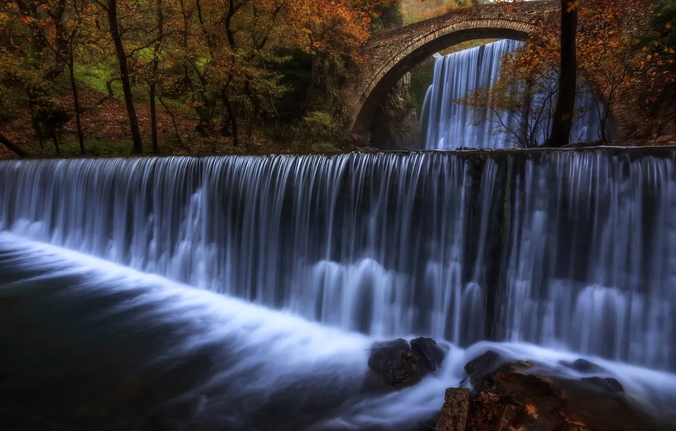 Photo wallpaper autumn, forest, trees, bridge, nature, Park, stones, rocks