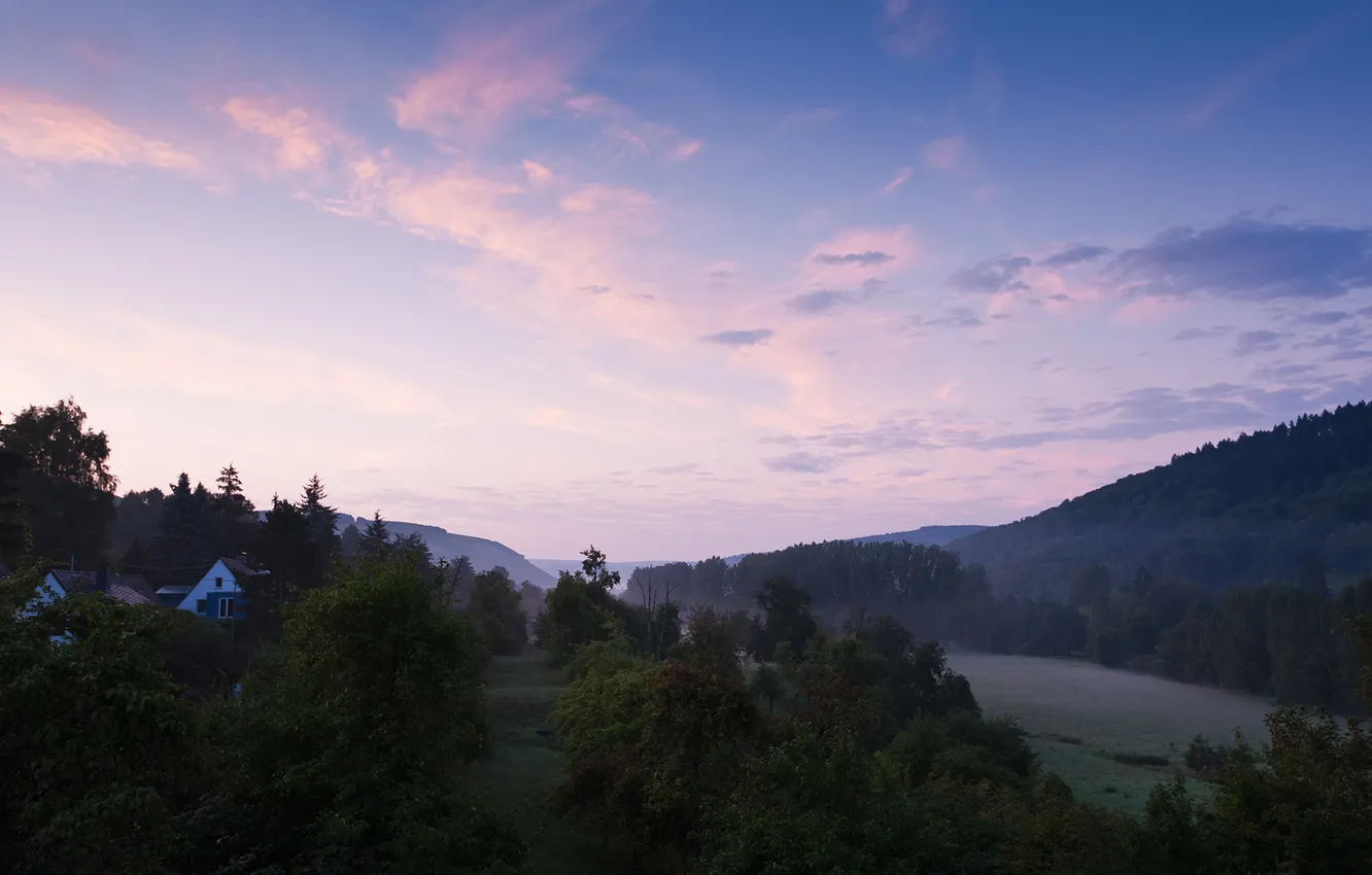 Photo wallpaper forest, the sky, grass, clouds, trees, landscape, nature, fog