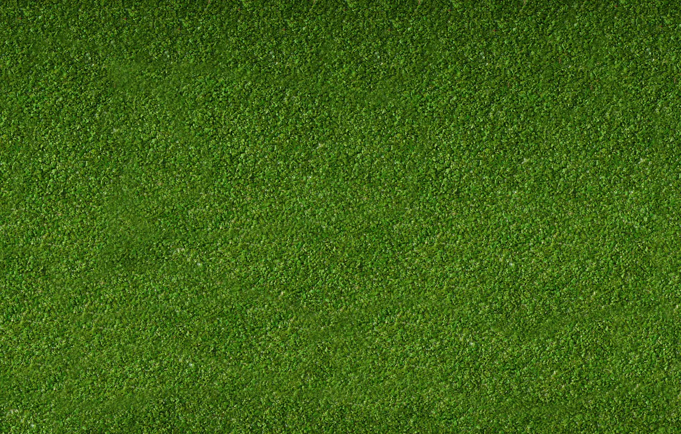 Photo wallpaper Greens, Grass, Lawn