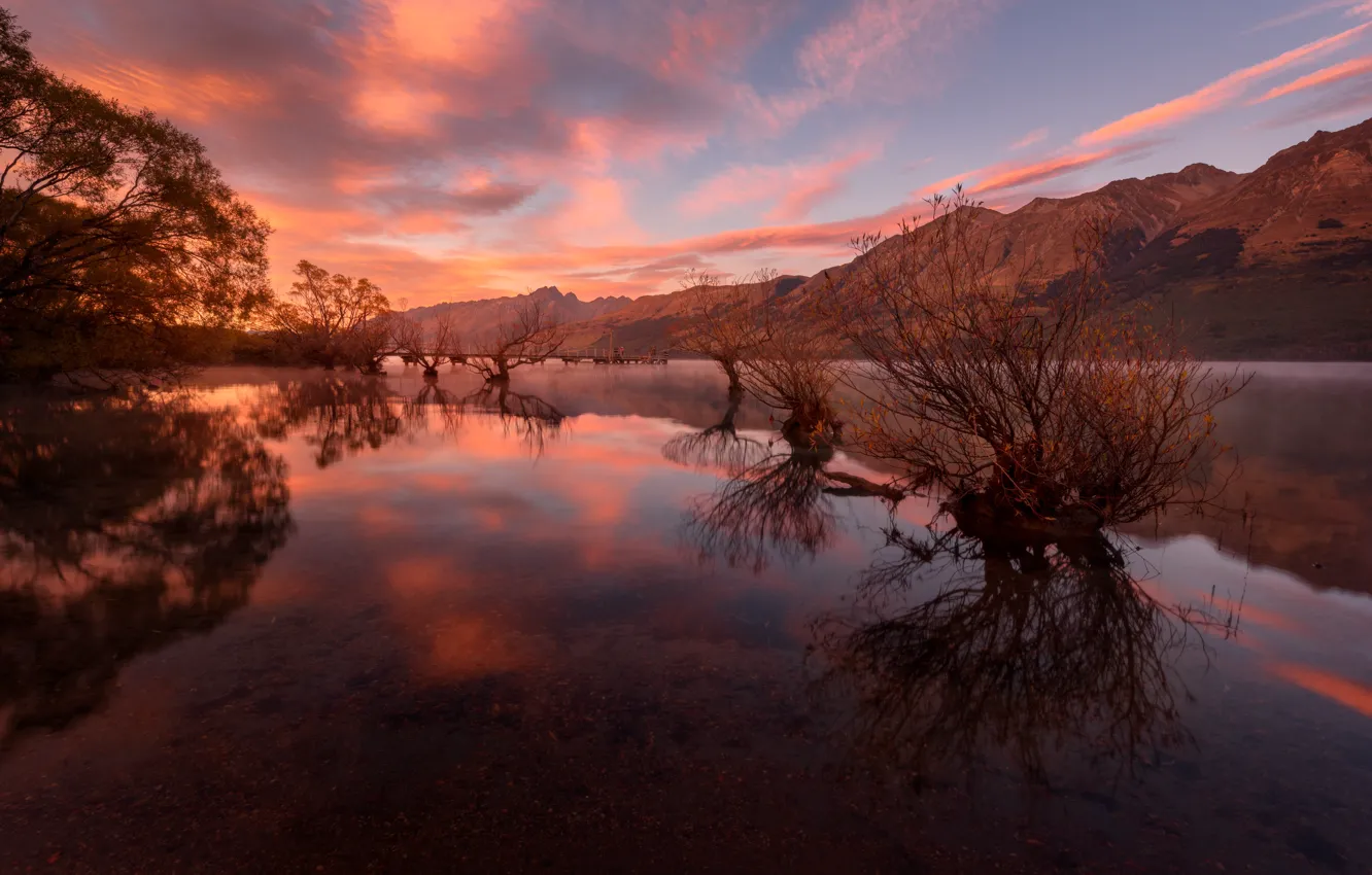 Photo wallpaper trees, mountains, reflection, pond, shrub