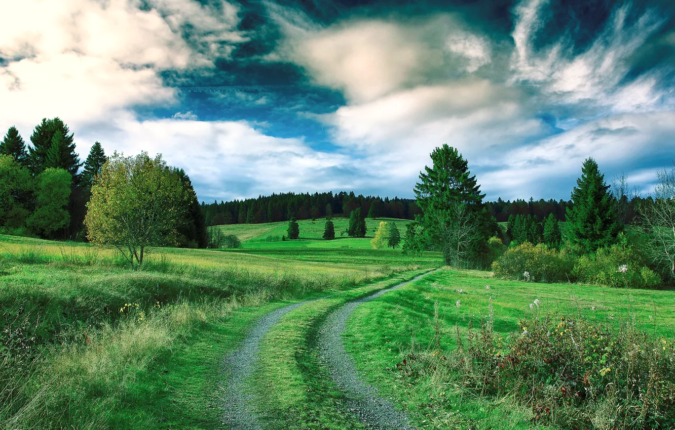 Photo wallpaper road, forest, meadow