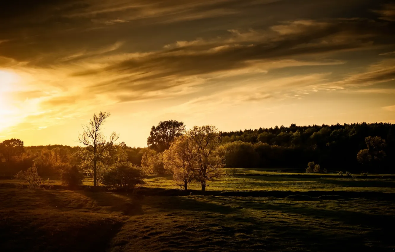 Photo wallpaper field, sunset, nature