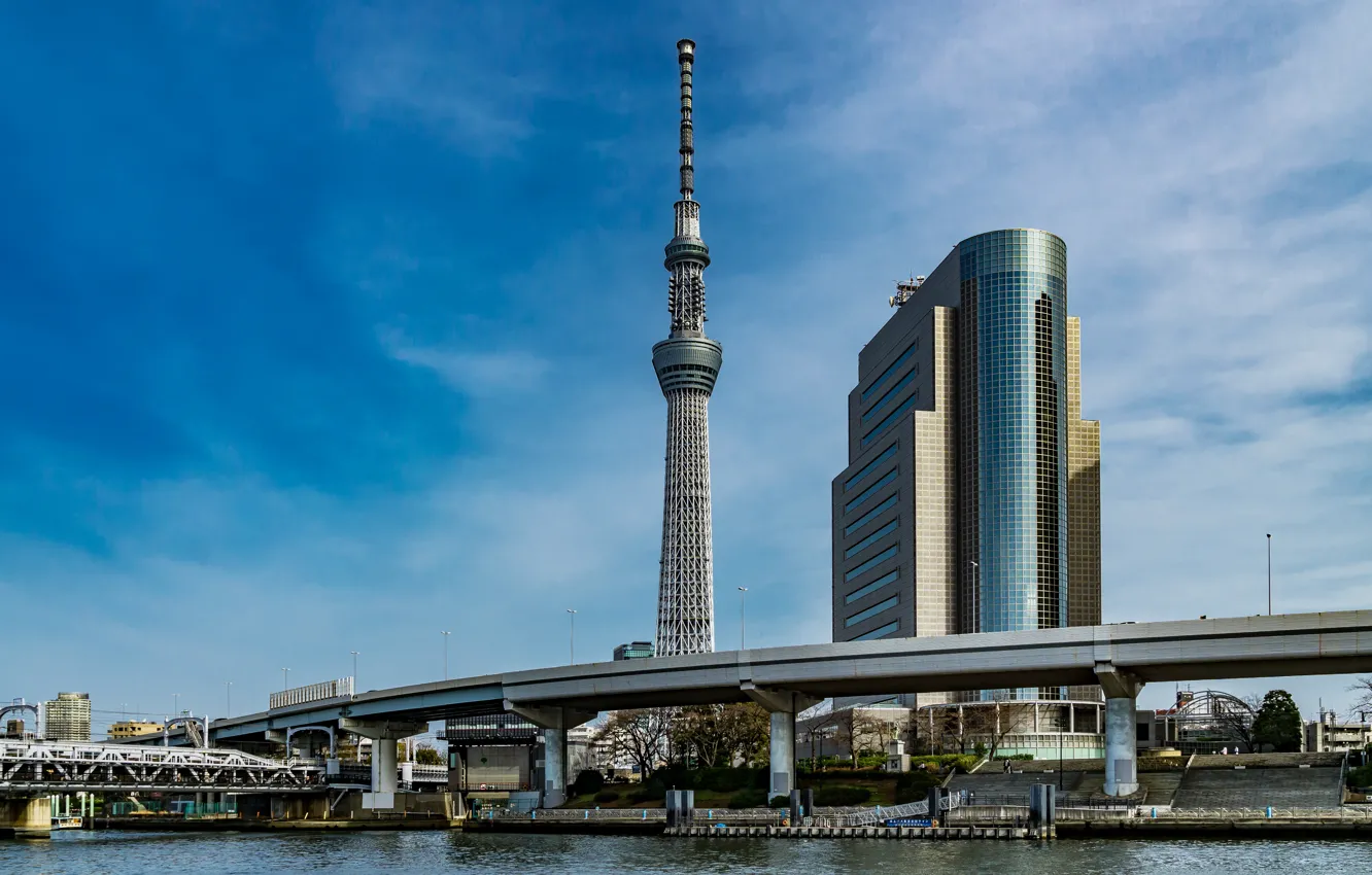 Photo wallpaper the city, building, Japan, Tokyo, tower