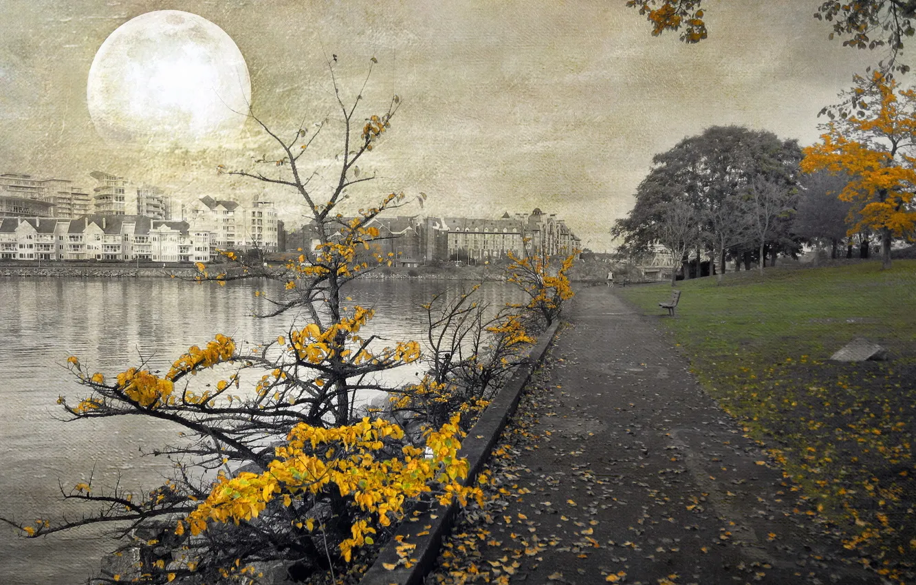 Photo wallpaper Canada, British Columbia, Victoria, Songhees