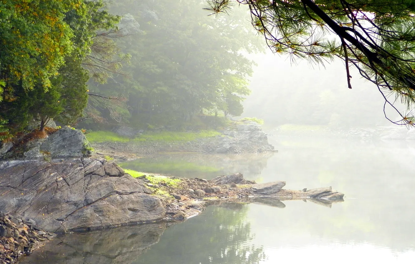 Photo wallpaper fog, lake, stones, tree