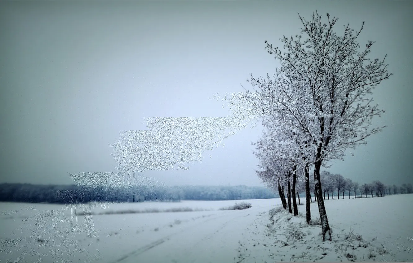 Photo wallpaper winter, road, snow, trees, the gray sky