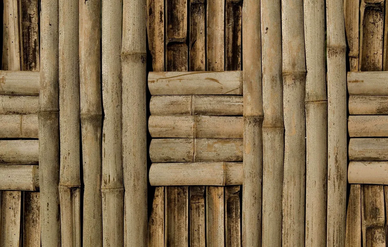 Photo wallpaper wall, pattern, bamboo