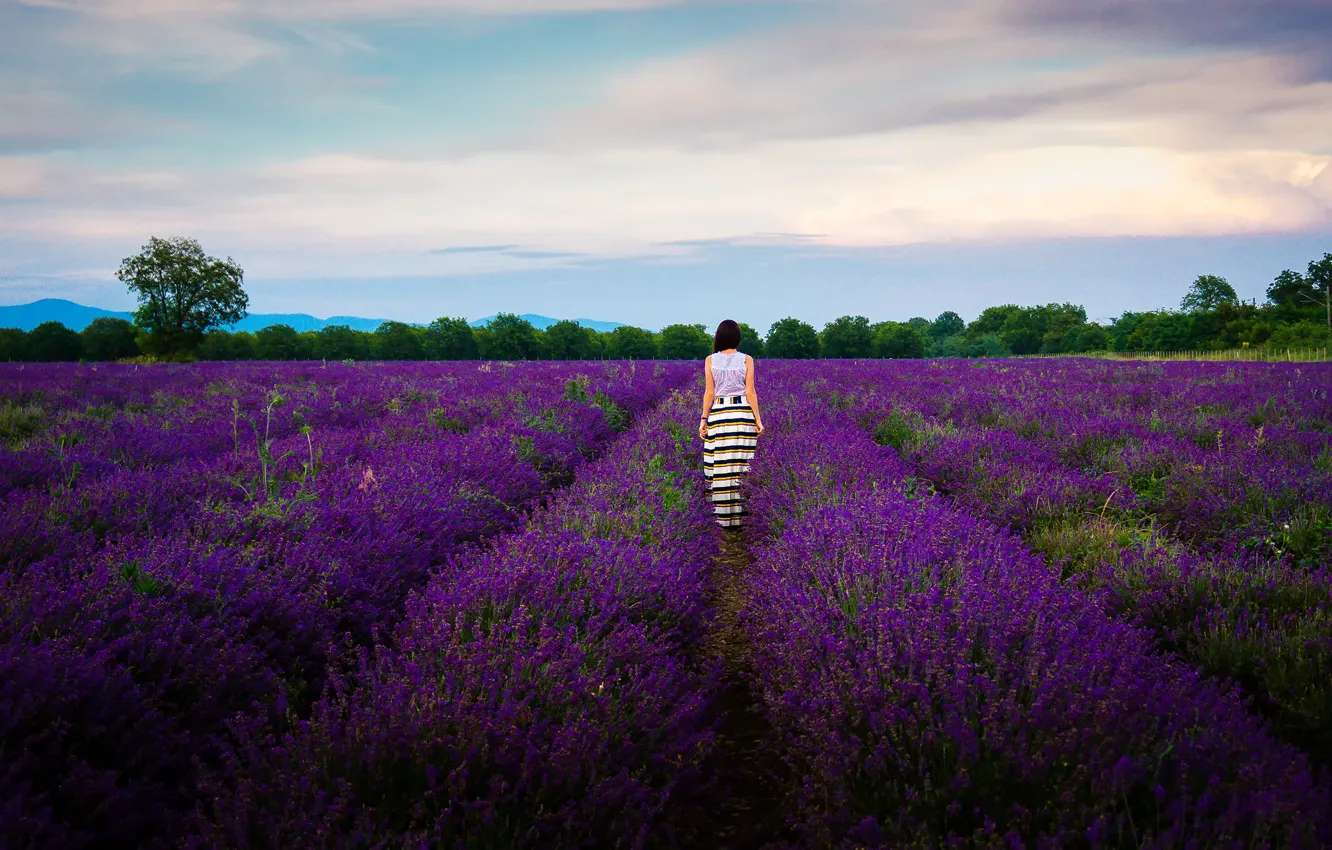 Photo wallpaper field, summer, the sky, girl, clouds, trees, flowers, one