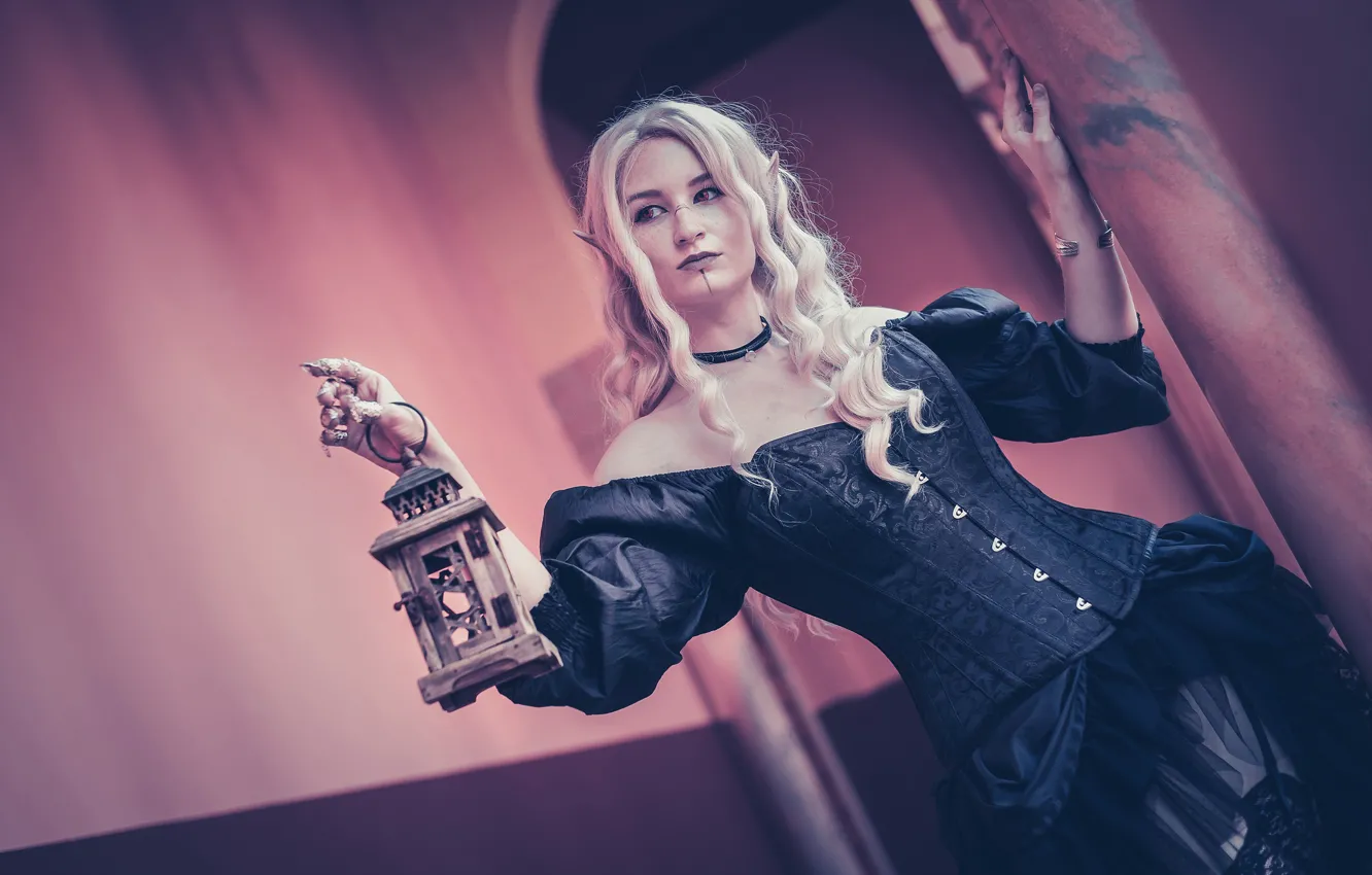 Photo wallpaper look, girl, pose, style, background, wall, black, elf