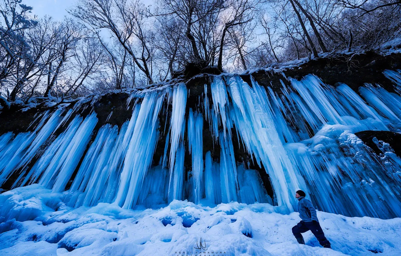 Photo wallpaper snow, trees, people, icicles, photographer, Kenji Yamamura