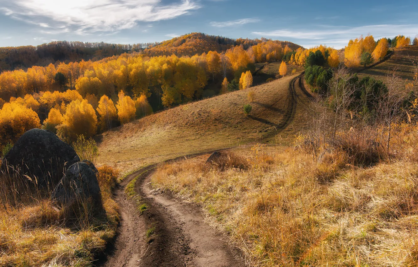 Photo wallpaper road, autumn, forest, mountains, the way