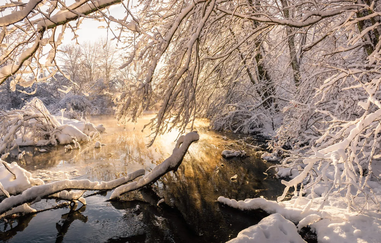 Photo wallpaper winter, water, snow, trees, branches, nature