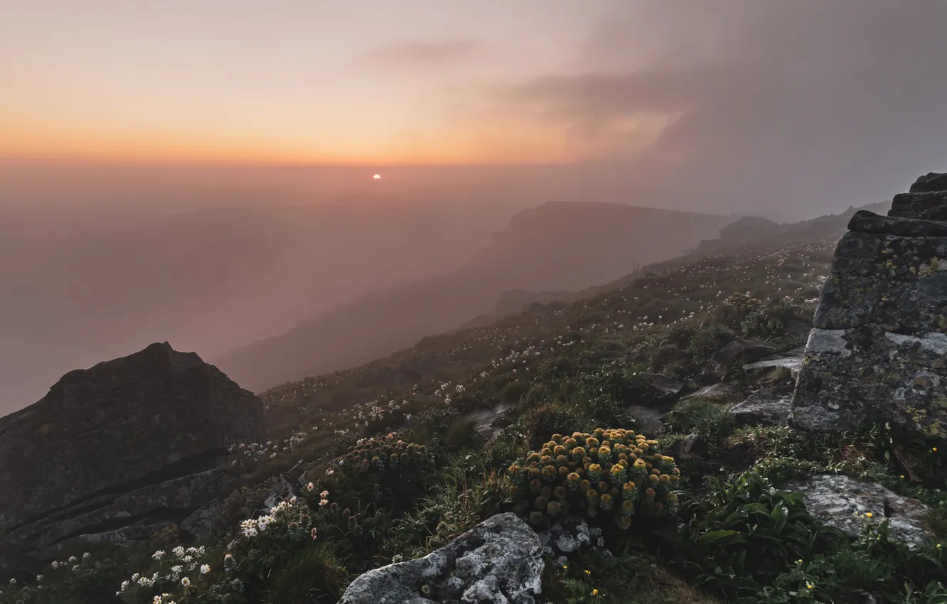 Photo wallpaper the sky, clouds, flowers, mountains, fog, stones, dal, morning