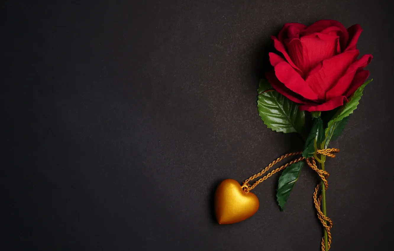 Photo wallpaper flowers, gift, heart, rose, pendant, red, love, black background