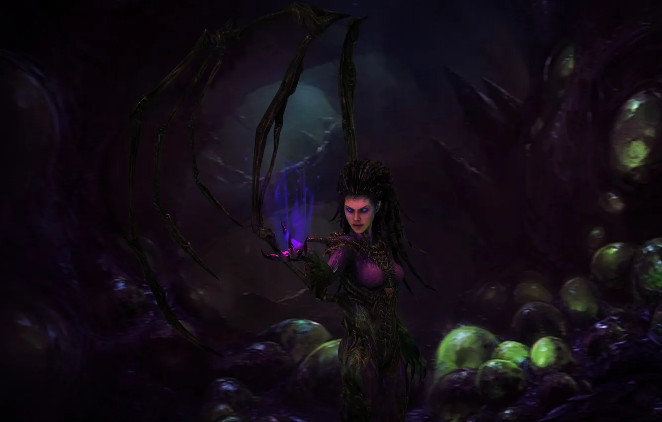 Photo wallpaper starcraft 2, Blizzard, art, sarah kerrigan