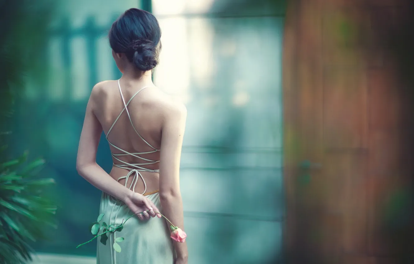 Photo wallpaper girl, pose, roses