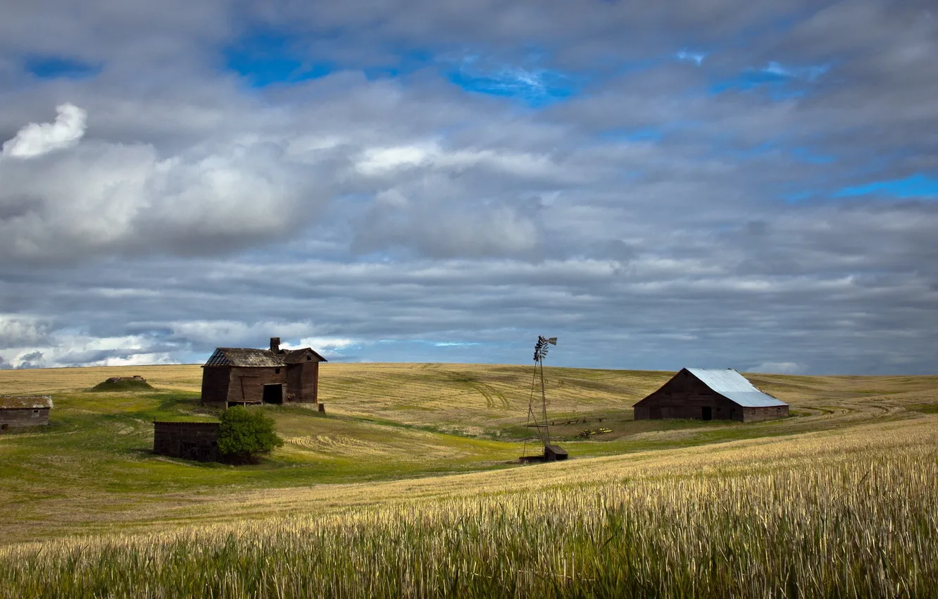 Photo wallpaper field, landscape, windmills, house
