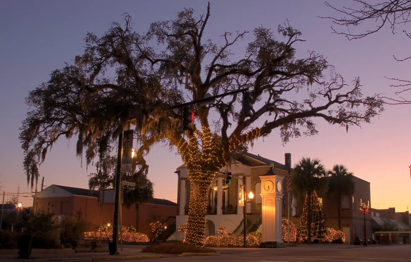 Photo wallpaper trees, the city, photo, home, USA, South Carolina