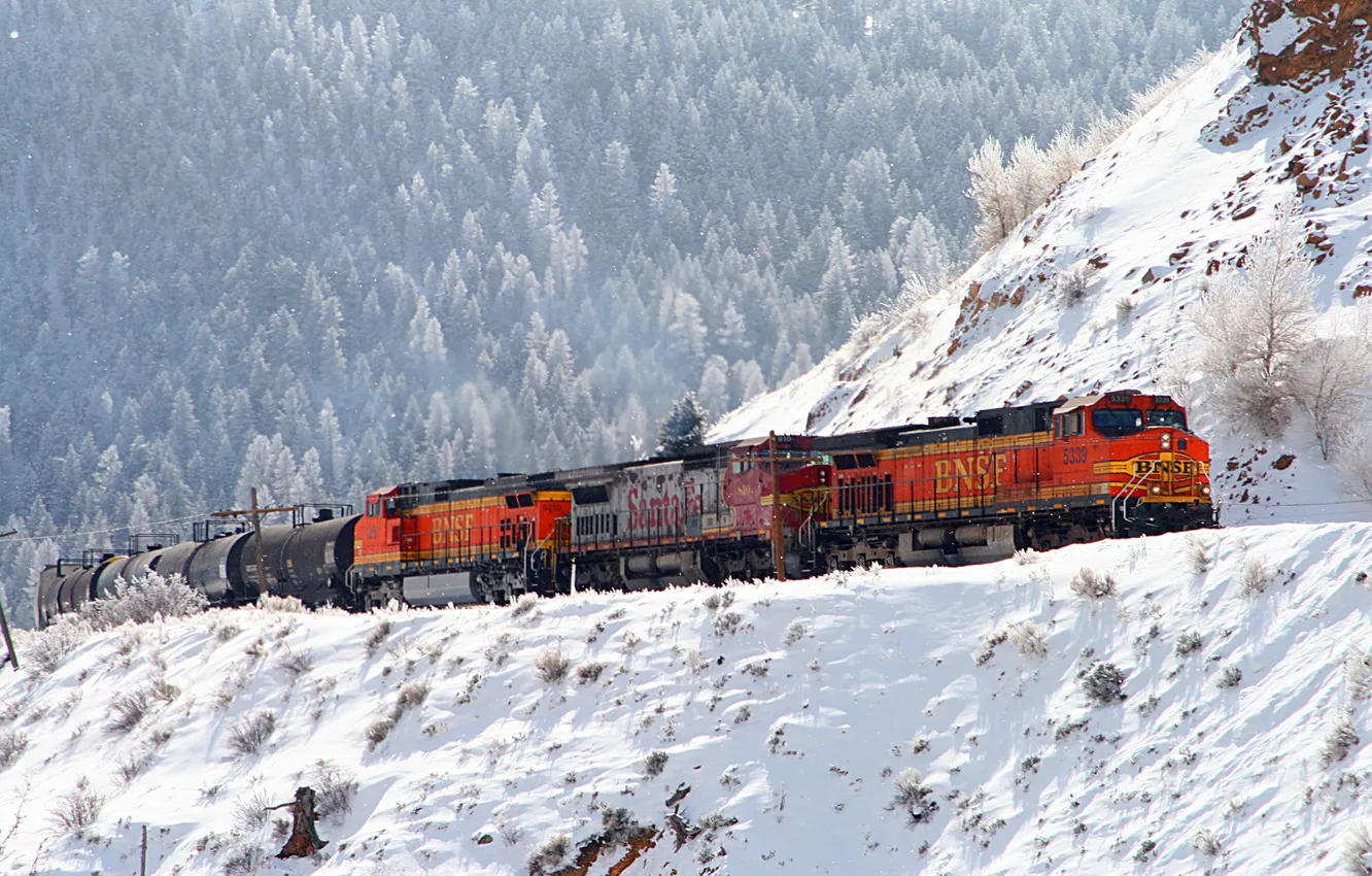 Photo wallpaper winter, forest, snow, train