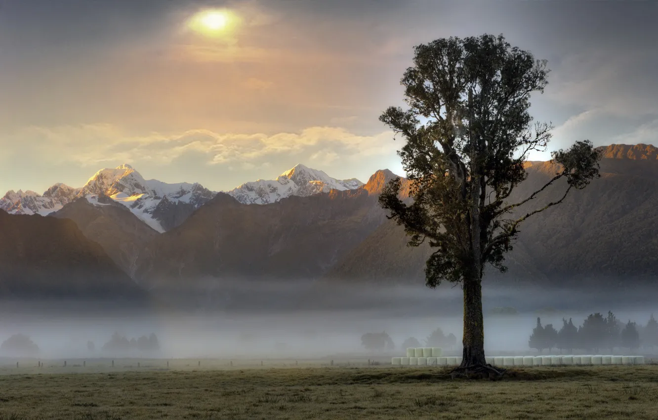 Photo wallpaper mountains, fog, tree, dawn, morning
