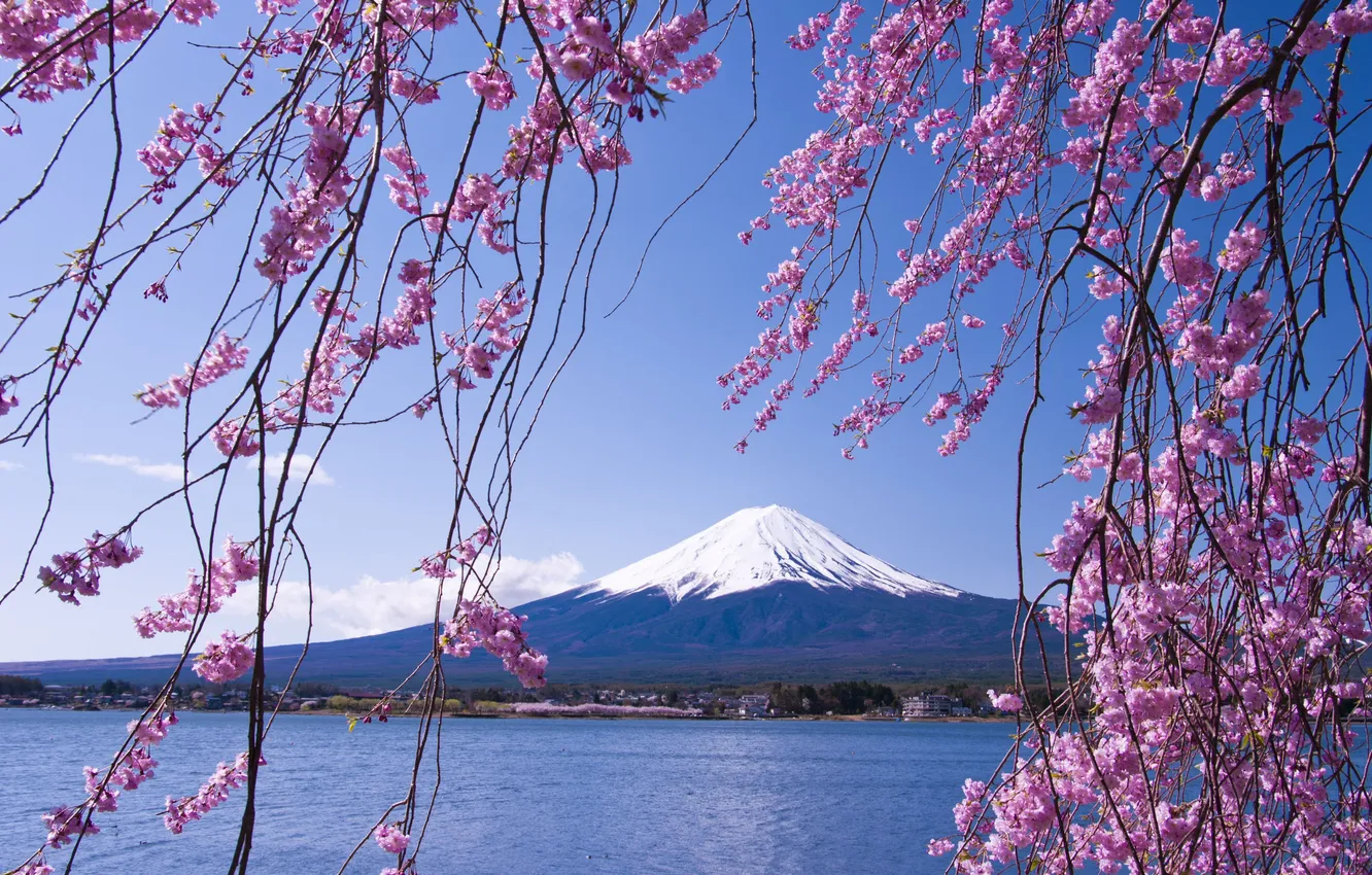 Photo wallpaper landscape, nature, lake, Japan, Sakura, Japan, forest, Mount Fuji