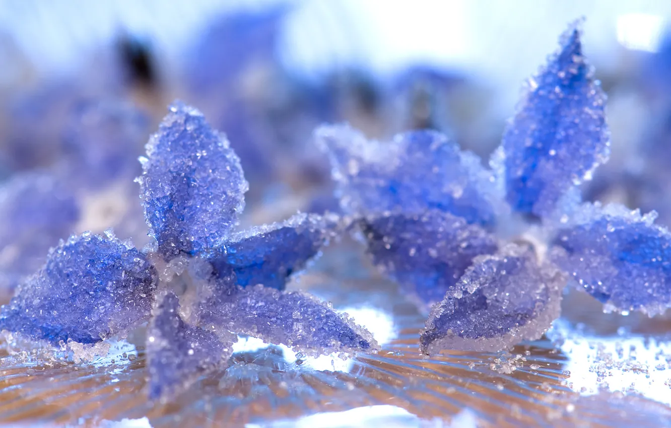 Photo wallpaper ice, water, macro, petals, frost, crystals