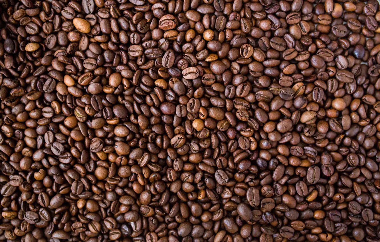Photo wallpaper macro, close-up, coffee, grain, close-up, a bunch, a lot, coffee beans