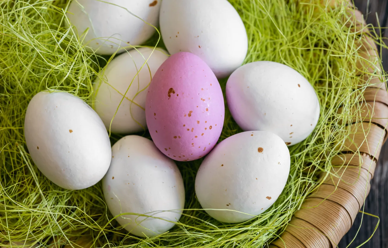 Photo wallpaper holiday, eggs, spring, Easter, socket, pink, white, network