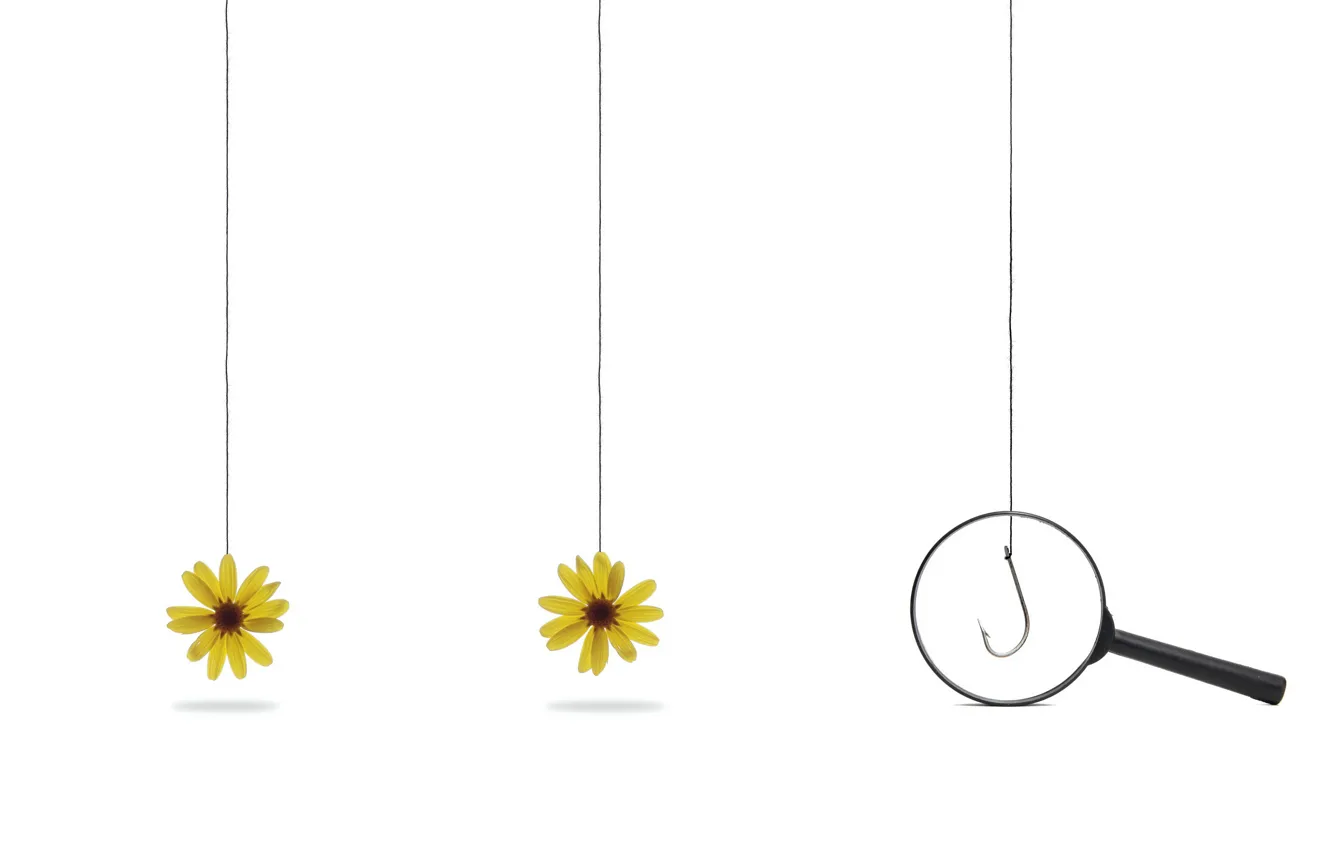 Photo wallpaper flowers, magnifier, hook