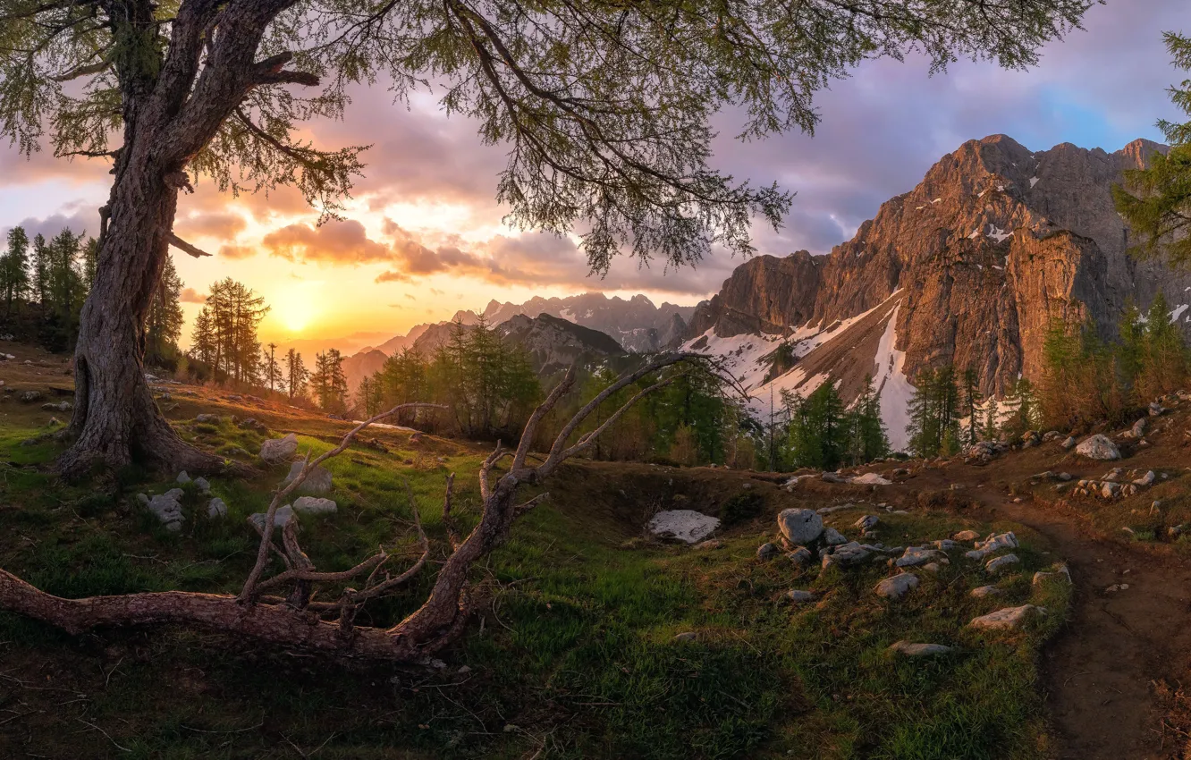 Photo wallpaper summer, mountains, nature, morning