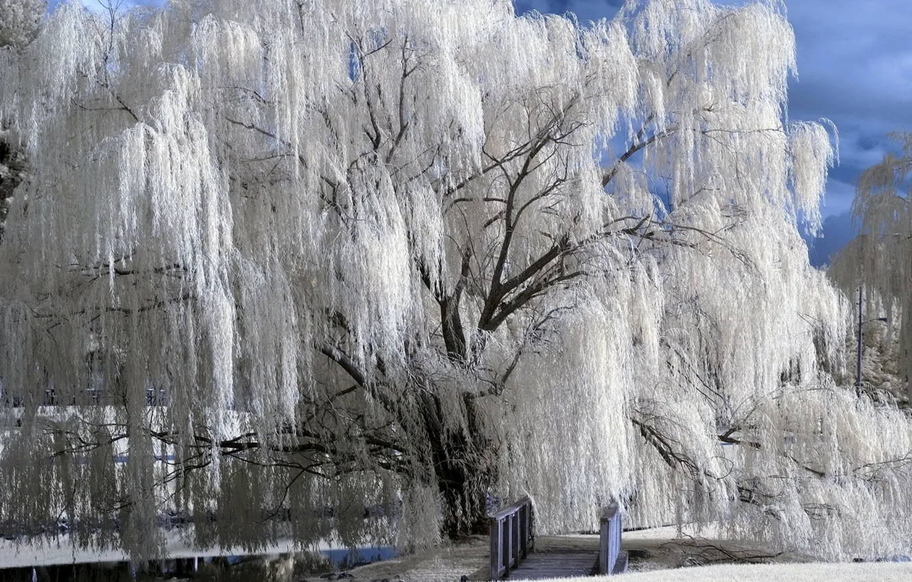 Photo wallpaper winter, snow, bridge, frost, river, IVA