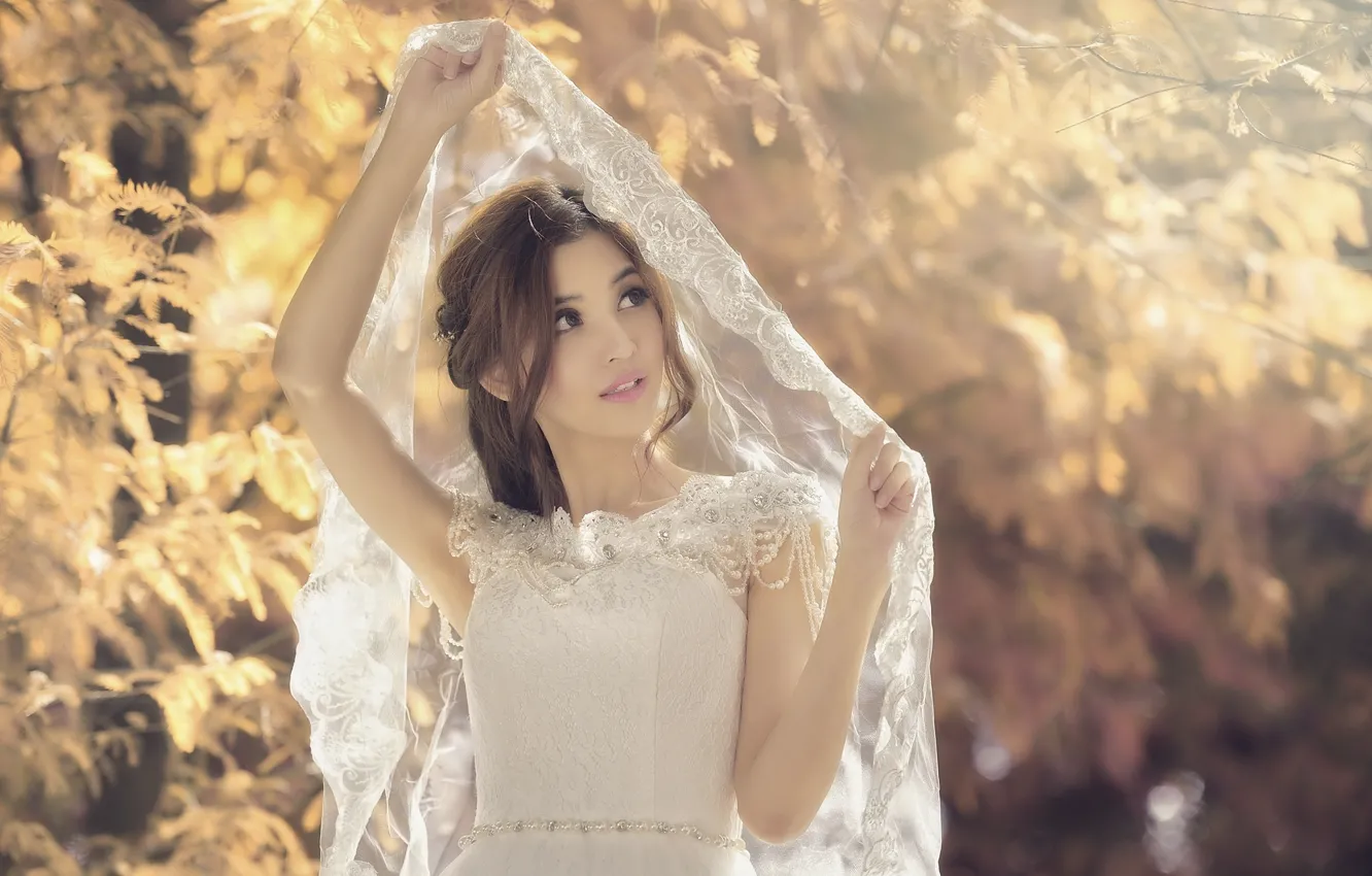 Photo wallpaper Asian, the bride, veil