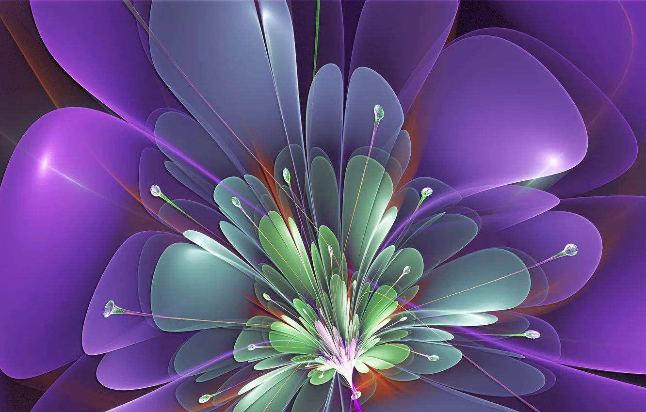 Photo wallpaper purple, line, flowers, green, petals, stamens