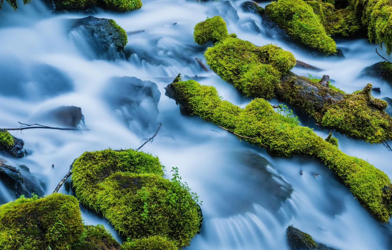 Photo wallpaper river, stones, moss, stream