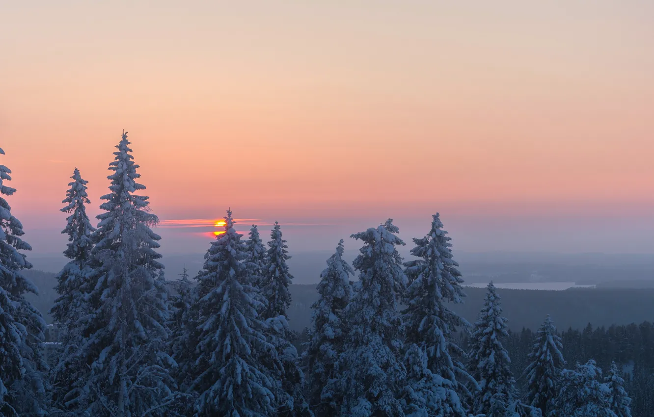 Photo wallpaper winter, forest, trees, sunset, ate, Finland