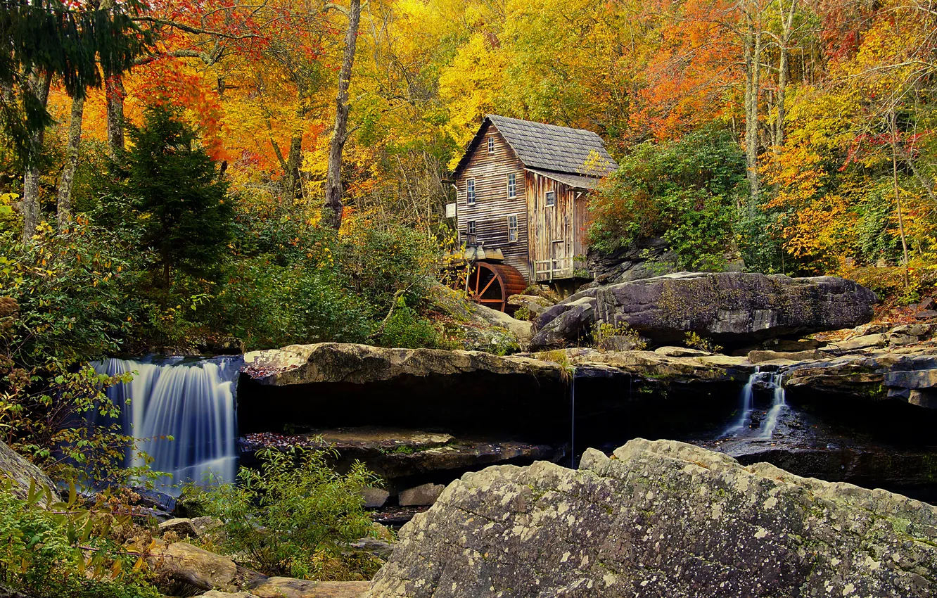 Photo wallpaper autumn, forest, trees, stones, rocks, mill
