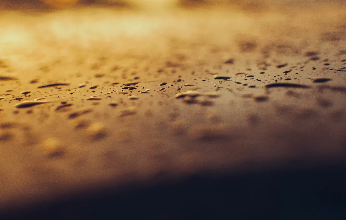 Photo wallpaper drops, macro, Rosa, rain