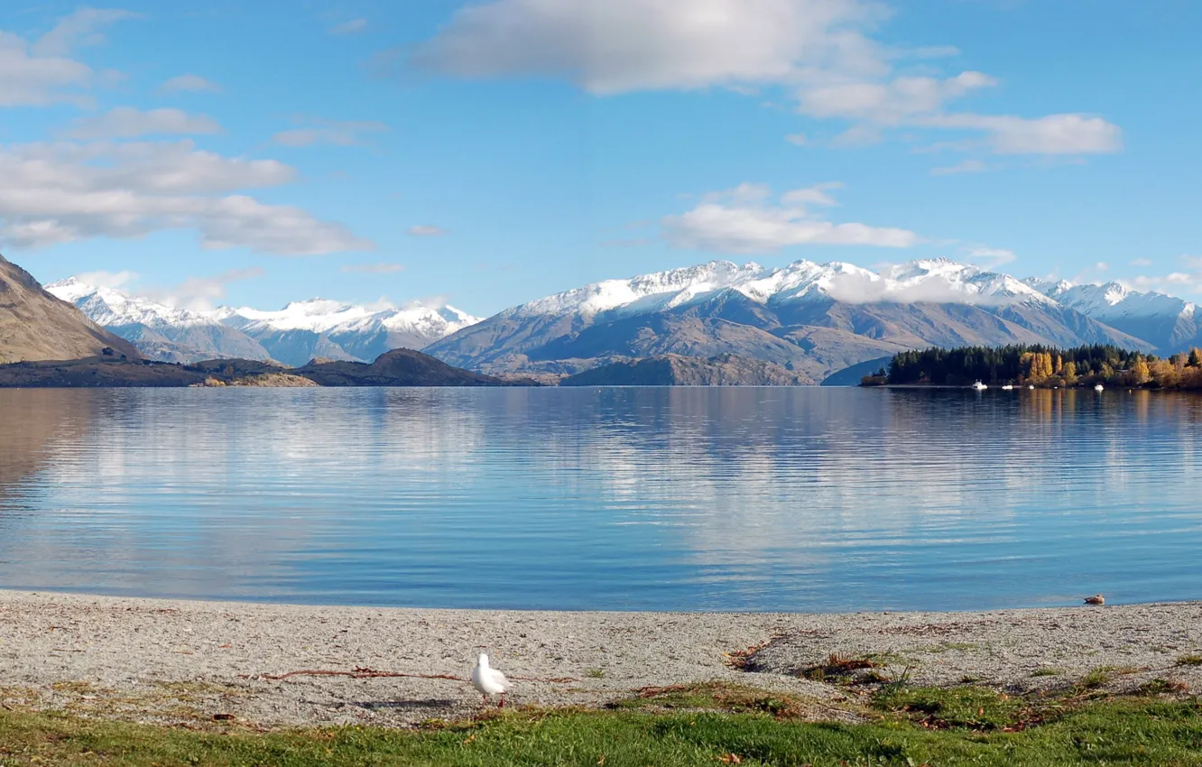 Photo wallpaper mountains, lake, shore, New Zealand, Panoramic, Lake Wanaka