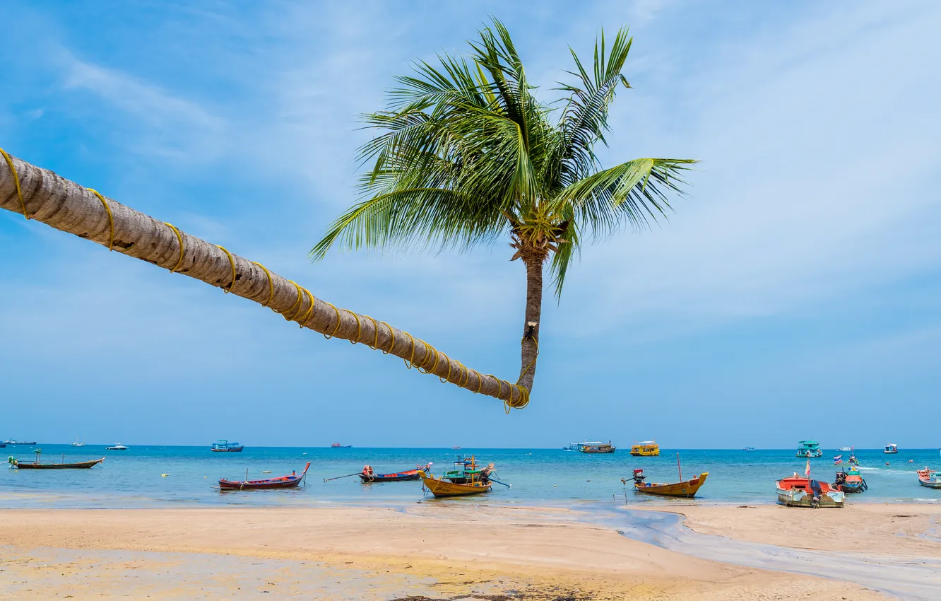 Photo wallpaper sand, sea, beach, summer, the sky, palm trees, summer, beach
