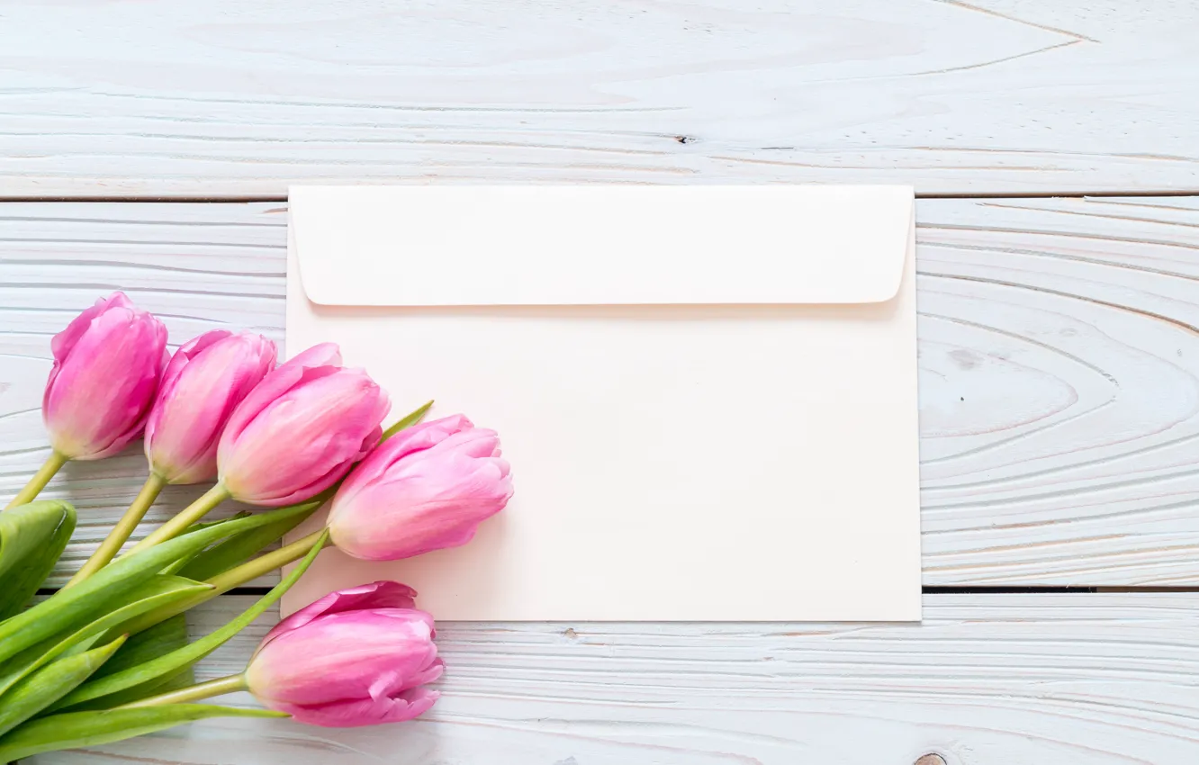 Photo wallpaper flowers, tulips, pink, fresh, wood, pink, flowers, tulips
