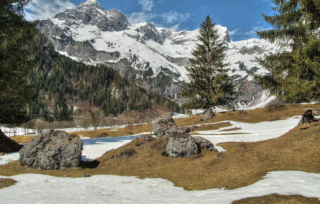 Photo wallpaper the sky, snow, trees, mountains, stones, tops, gorge