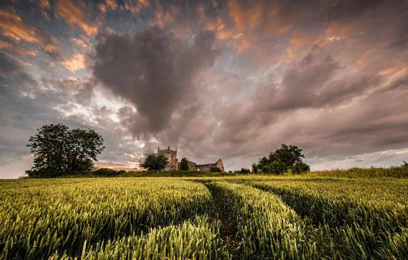 Photo wallpaper field, the sky, landscape, castle, ears
