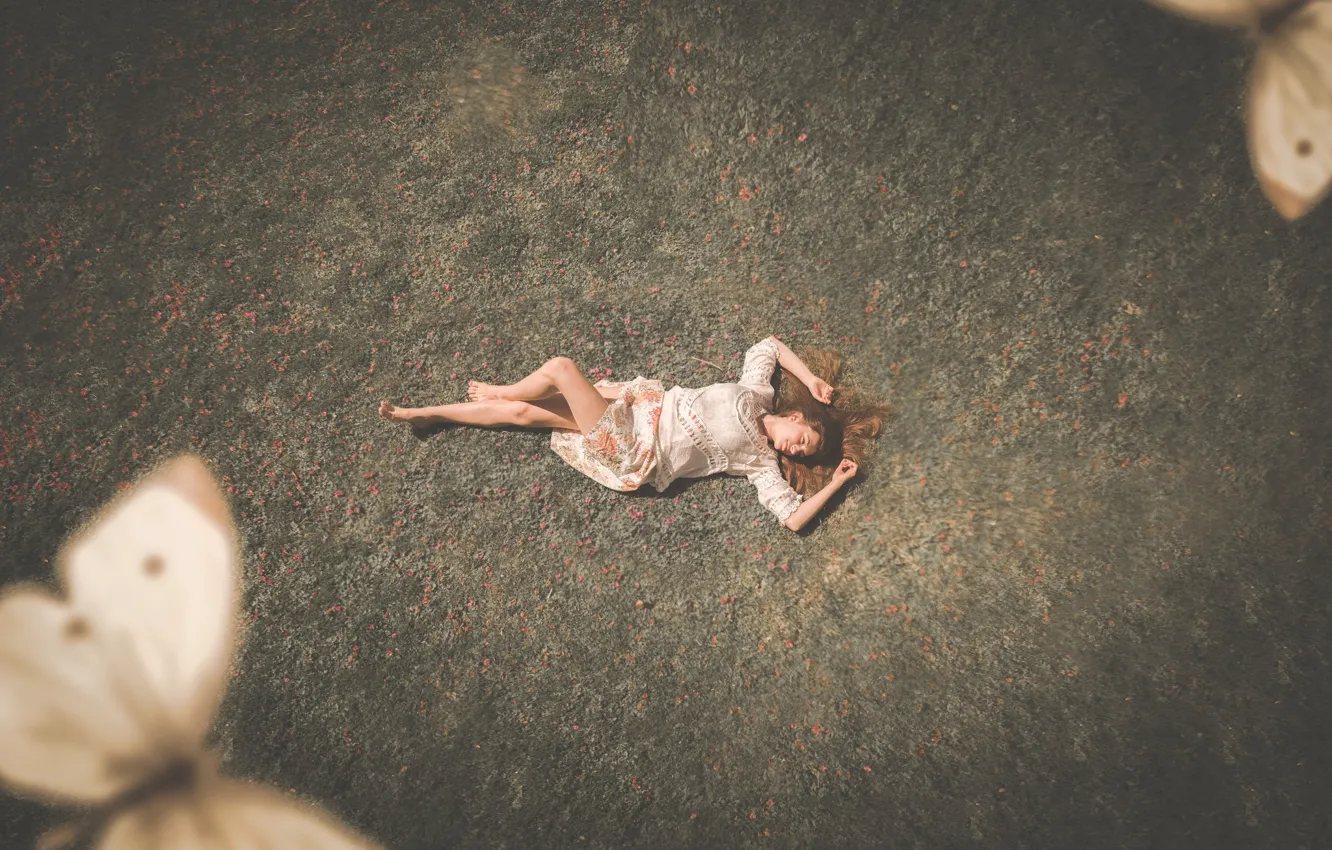 Photo wallpaper girl, pose, butterfly