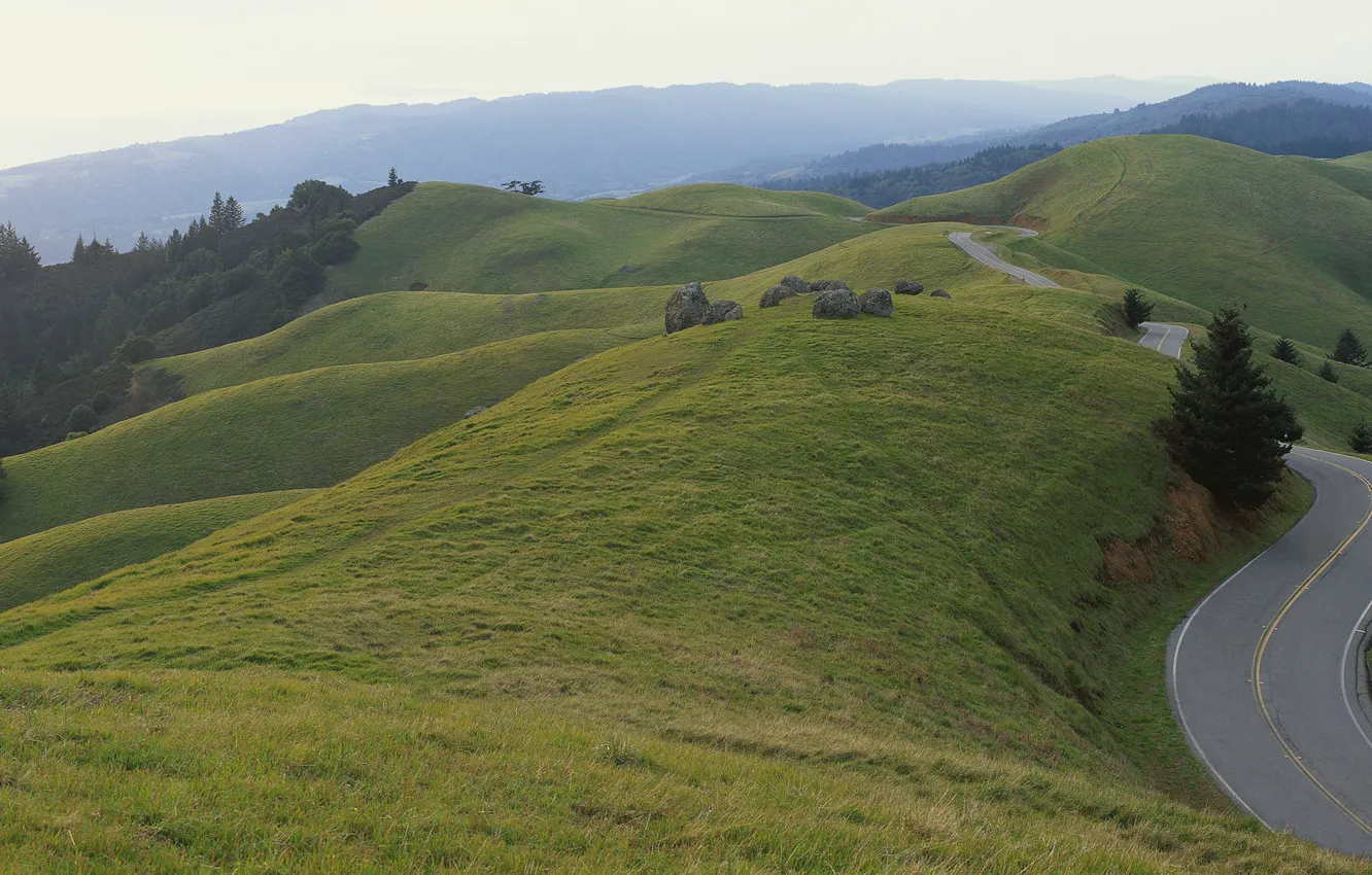 Photo wallpaper road, green, hills